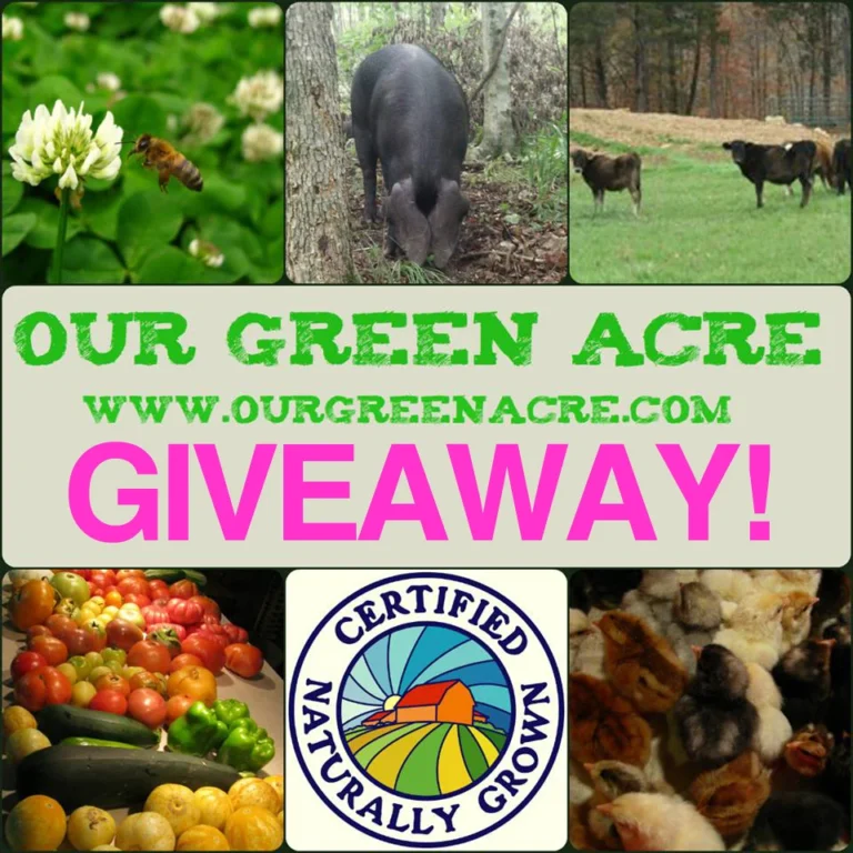 Our Green Acre Giveaway Concludes, Highlighting Rural Entrepreneurship and Sustainable Living