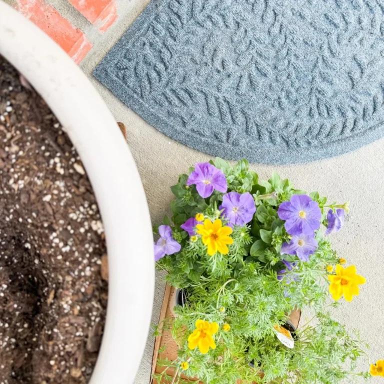 Simple Spring Porch Upgrade with a WaterHog Doormat