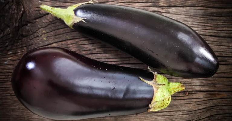 Unveiling the Nutritional Profile and Emerging Health Benefits of Eggplant