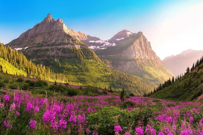 Nih stroke scale evaluation