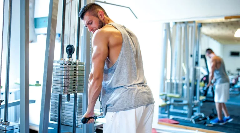 The Triceps Brachii: Unlocking Upper Body Strength, Performance, and Longevity