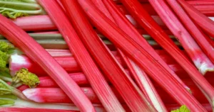Rhubarb: A Comprehensive Look at Its Nutritional Profile, Potential Health Benefits, and Dietary Considerations