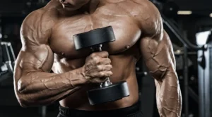 The Enduring Quest for Impressive Biceps: A Comprehensive Guide to Arm Development