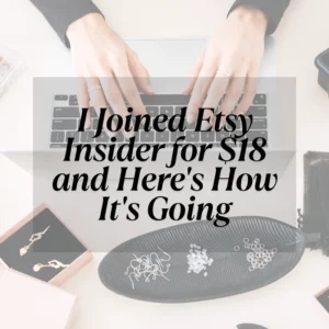 Evaluating Etsy Insider: Subscription-Based E-Commerce Programs and Their Impact on Small-Scale Retail Consumer Spending