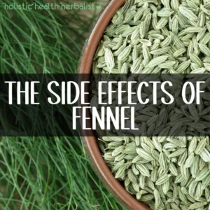 Fennel Seeds Side Effects For Females