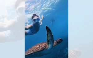 Finding Zen Beneath the Surface: An In-Depth Look at Bonaire’s Emergence as a Global Diving Hub