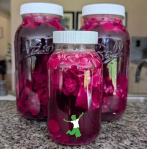 How to culture a mixture of non-starchy vegetables into a forever ferment for the most diverse probiotic species beneficial to the gut microbiome