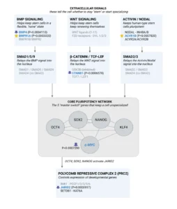 The Epigenetic Impact of Younger You: A New EWAS Study