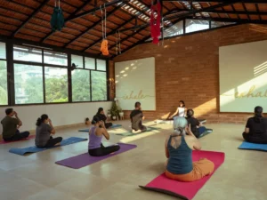 The Real Reason Most People Quit Yoga in the First 3 Months (And What to Do Instead)