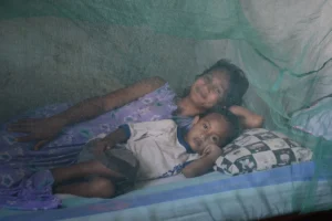 Timor-Leste Officially Certified Malaria-Free by the World Health Organization Following Decades of Dedicated Public Health Interventions