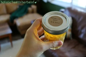 Astragalus Root Tincture How to Uses and Benefits