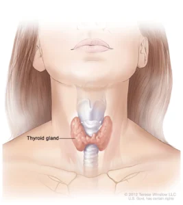Navigating the Complexities of Thyroid Health and Clinical Management