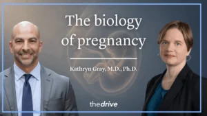 Pregnancy as a Cardiovascular and Metabolic Stress Test: A Deep Dive into Maternal Health with Dr. Kathryn Gray