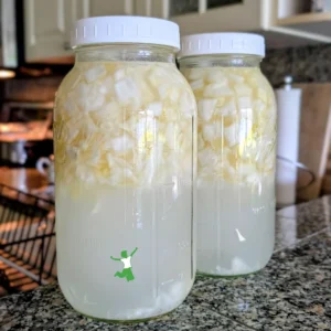 The Therapeutic Power of Cabbage Tonic: A Modern Approach to Gut Microbiome Maintenance